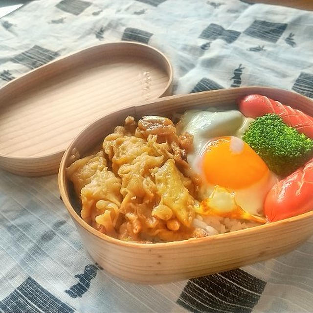普通の弁当