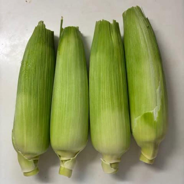 朝採りとうもろこし
