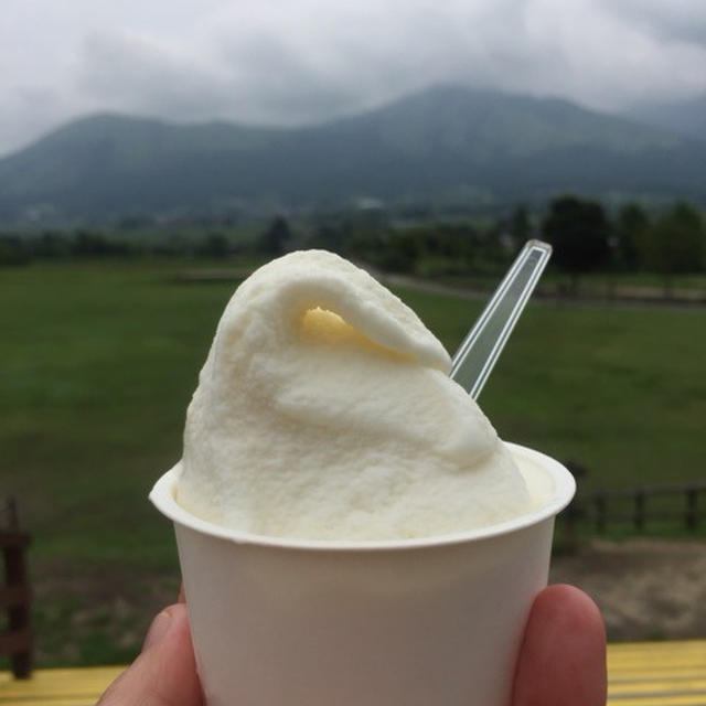熊本旅行まとめ　2017年夏　ブラボーくまもとSNSキャンペーンで当選