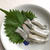 【さかな・魚・肴】南芦屋浜 大賑わい☆可愛いサヨリのベビー