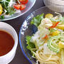 ＜冷たくてもゴーヤとか野菜いっぱいつけスパゲッティー＞