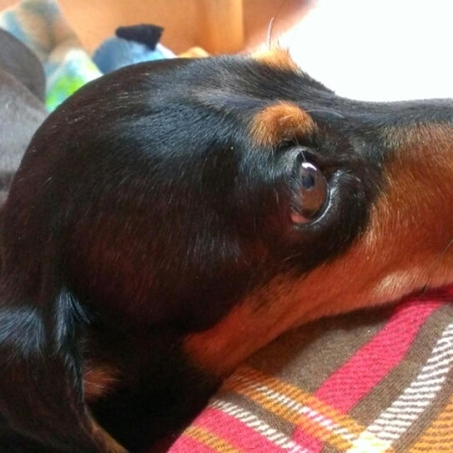 ＊春一番＊