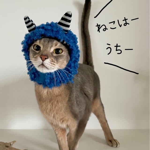 ねこ鬼さんと猫はウチ