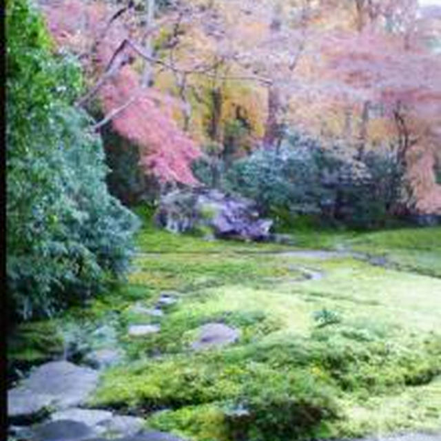 ☆ふら〜っと、京都☆