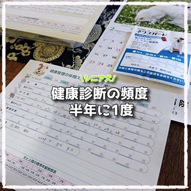 愛犬の健康診断