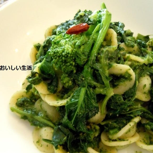 イタリアの冬野菜　チーメ・ディ・ラーパで　くたくた野菜のソースのオレキエッテ　