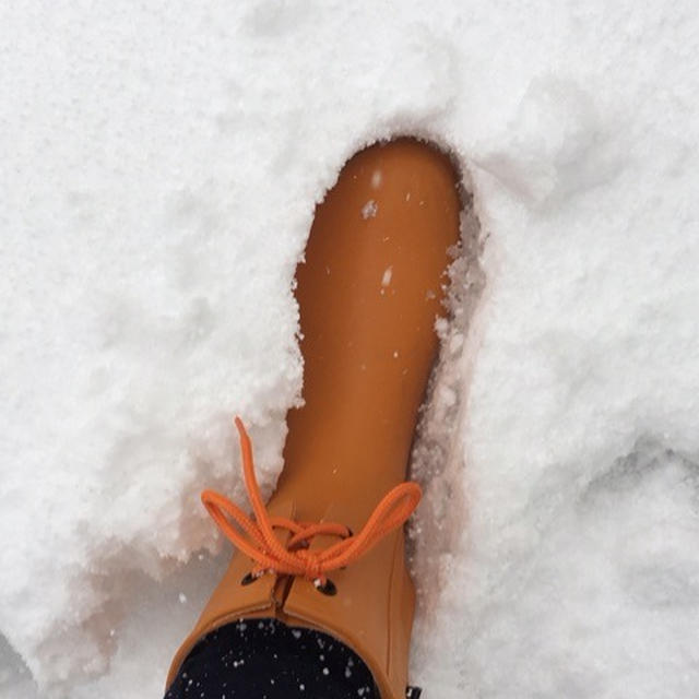雪も雨もどんとこい、防災ガール長靴て金沢を闊歩