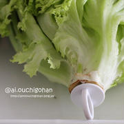 【購入品】爪楊枝なんて非じゃない！まじすごい！野菜フレッシュキーパー♡#100円 #プチプラ #野菜 #節約 #レタス
