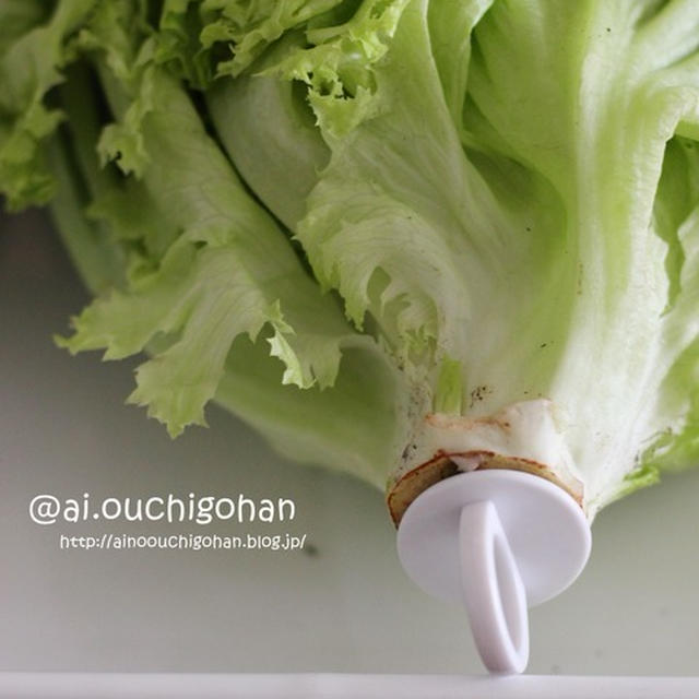 【購入品】爪楊枝なんて非じゃない！まじすごい！野菜フレッシュキーパー♡#100円 #プチプラ #野菜 #節約 #レタス