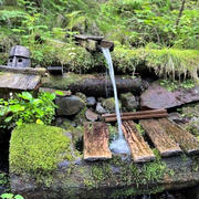 水汲みドライブ～阿弥陀聖水・たまらずの池・やまと天目山温泉