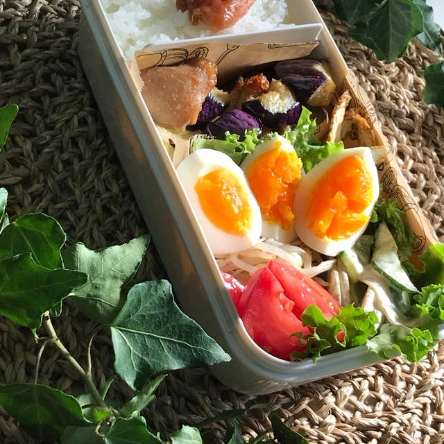 ダイエット弁当7日目(昨日の晩酌で余ったおかずのリメイク弁当）