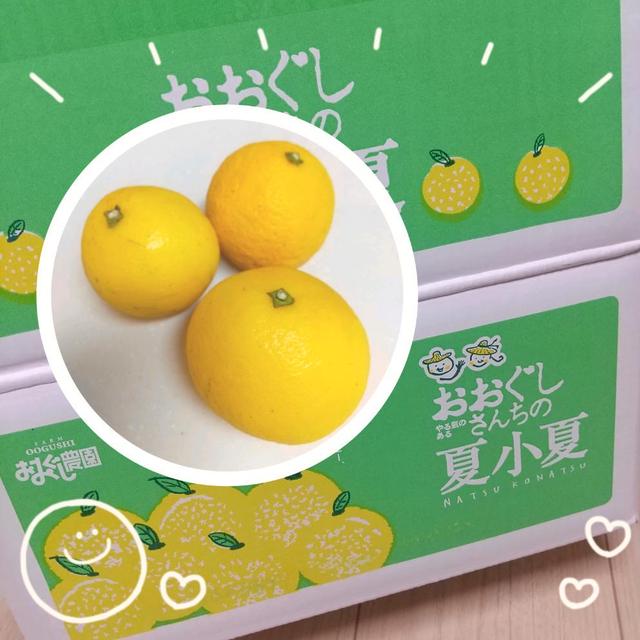 　こんな日は　ジャム　作ってます！