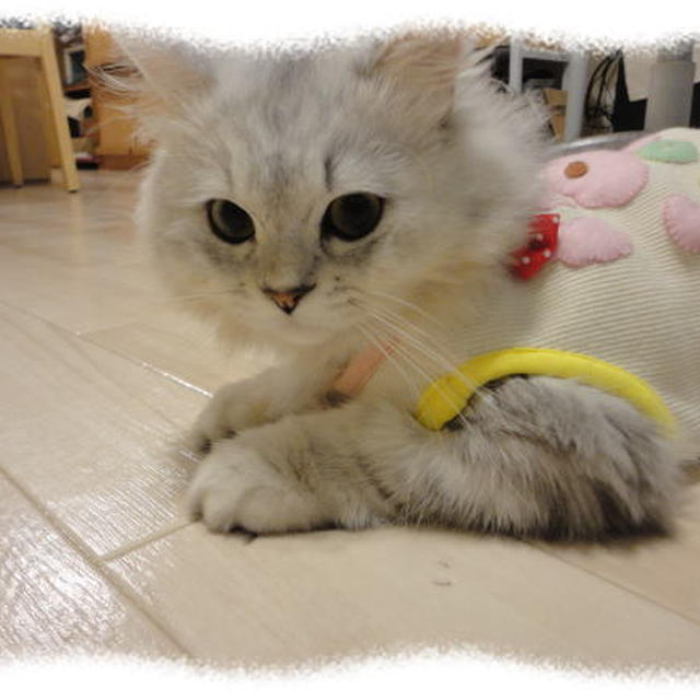 どうしちゃったの？