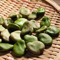 みかん亭の2週間の格闘記録➖そら豆はさやごと乾燥するとやっぱり緑色のままなんですって。