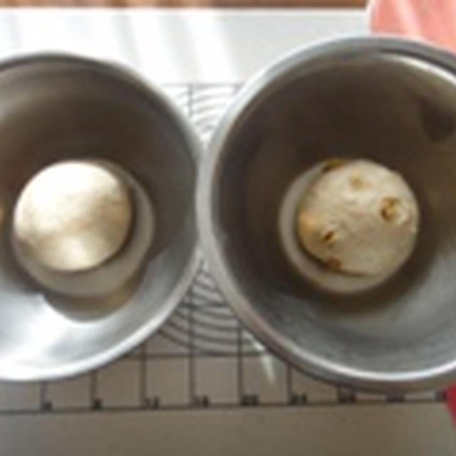 ホシノ酵母日記　***　ぷち食事パン♪　***