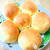 【朝】手作りお花ちぎりパン