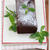 材料4つの濃厚お豆腐チョコケーキ。