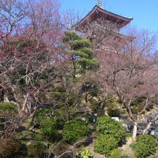 【京都】