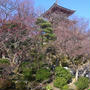 【京都】