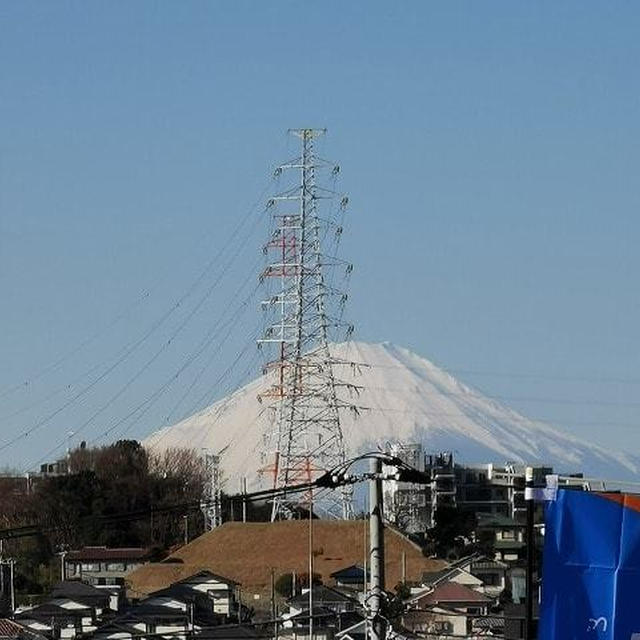 今日の富士山！ / 新聞に隠れるかまってちゃん