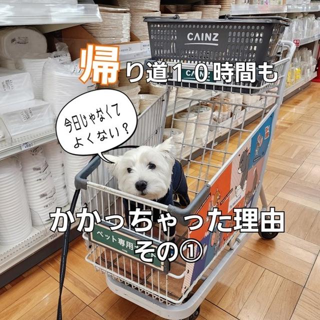 帰り道に10時間もかかっちゃった件。要因その１　犬席を確保する