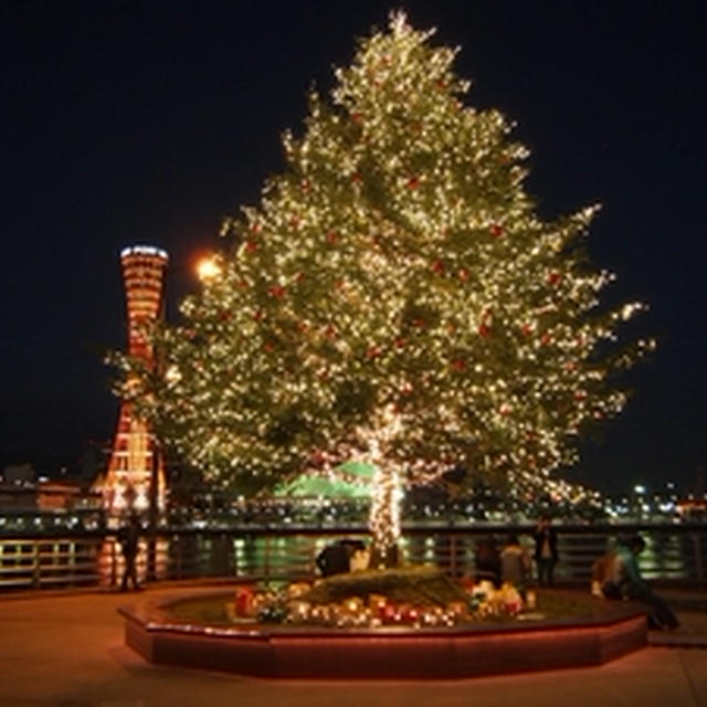 ハーバーランドのクリスマスツリーとイベント