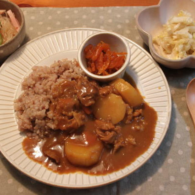 ゆうごはん カレーライス 春雨サラダ By コーヒーの木さん レシピブログ 料理ブログのレシピ満載