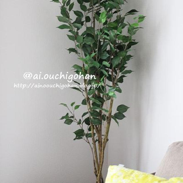 友達の目をごまかすことに成功した観葉植物のフェイクグリーン♡