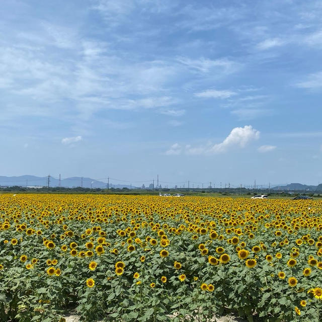 週末は、三密を避け「道の駅」へ♪