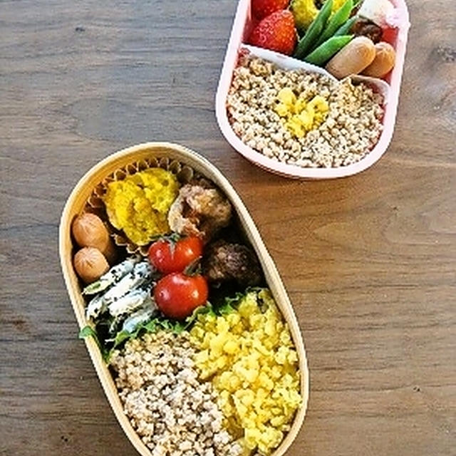 ２色そぼろ丼弁当