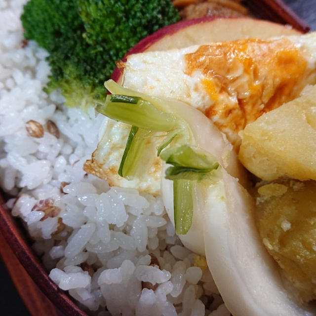 煮込みハンバーグ弁当