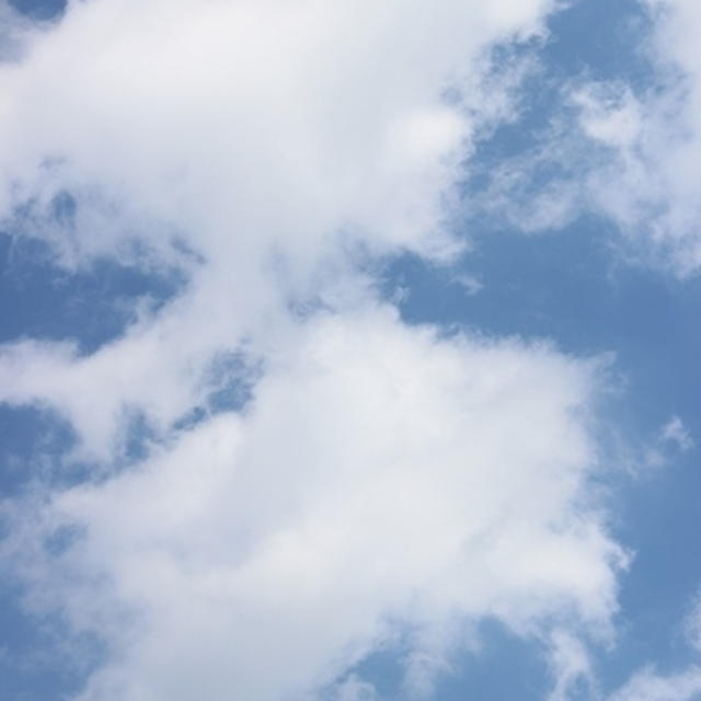 秋の風が・・・♪
