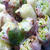 生春巻き　Fresh Spring Rolls