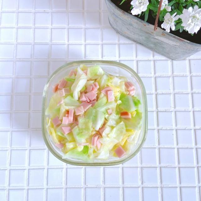 マヨ不使用！簡単作り置き「キャベツとハムのレンチンマリネ」