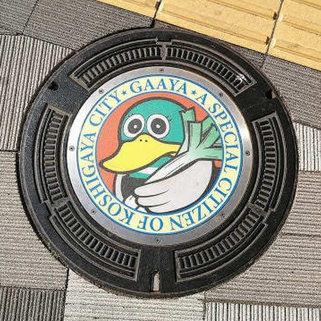 埼玉県越谷市のデザインマンホール「ガーヤちゃん」と「シラコバト」 