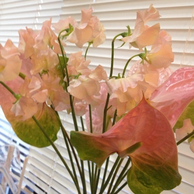 春！ピンク！桜色のものがいっぱい！