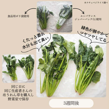 エンバランス商品取り扱います