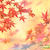 Beauty of nature