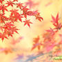 Beauty of nature