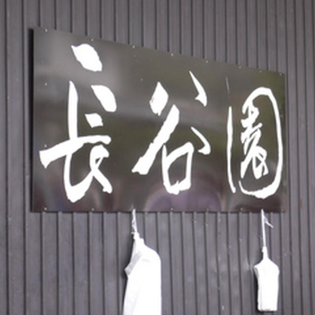 長谷園窯出し市