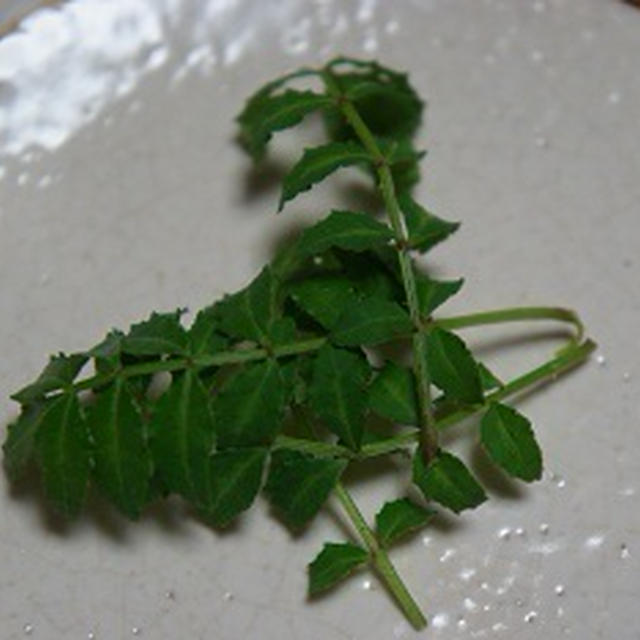 美味！牛肉の木の芽和え♪