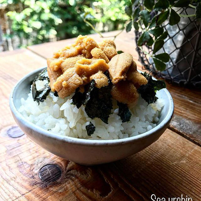 うに丼