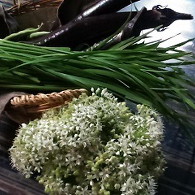 開ききったニラの花って食べれるのね By Gureponさん レシピブログ 料理ブログのレシピ満載
