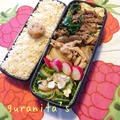 牛肉と野菜炒め弁当