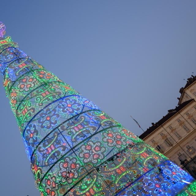 トリノのイルミネーション2014 ☆ Albero di Natale in Piazza Castello