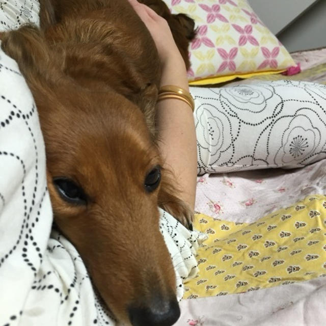 オイオイ、、(^_^;)