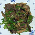 牛肉と茄子・ピーマンの柚胡椒炒め＆コンニャクと竹輪のピリ辛煮