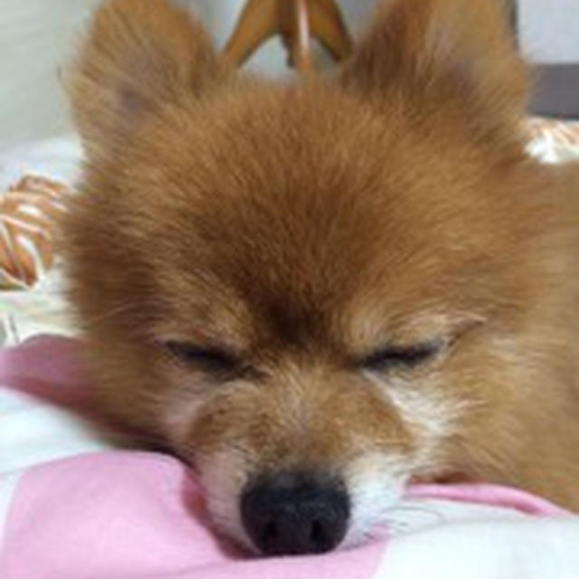 有意義な睡眠