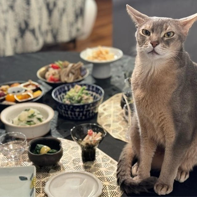 お正月明けは唐揚げとか…ねこ居酒屋さんでした