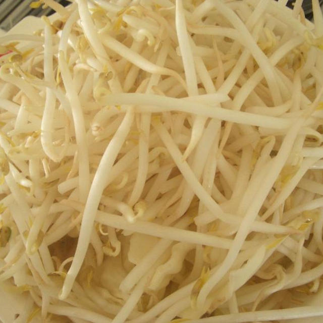 焼きうどん?。